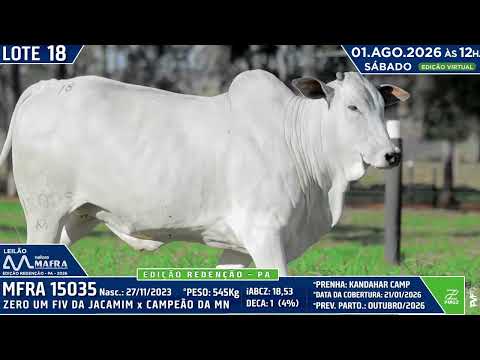 LOTE 18   MFRA 15035