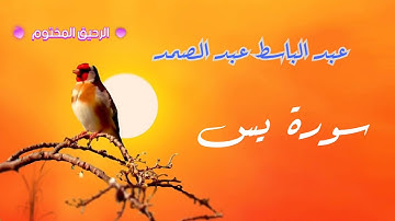 سورة يس - عبد الباسط عبد الصمد