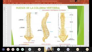 ESQUELETO AXIAL TORAX ANATOMÍA II 08 03 21 ESQUELETO AXIAL TORAX ANATOMÍA II 08 03 21