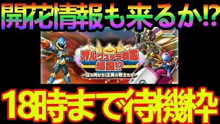 【ドラクエタクト】スライダーク・スライダーガール開花情報くるか！？待機枠