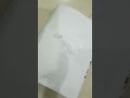 I drew a dolphin drawing