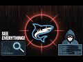 🧠 Wireshark HACK: See Everything with Deep Packet Inspection!
