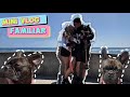 MINI VLOG | Shirleytatianaa