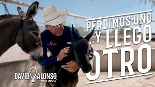 Perdimos uno… y llegó otro