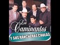 LOS CAMINANTES NO CANTAN MAL LAS RANCHERAS