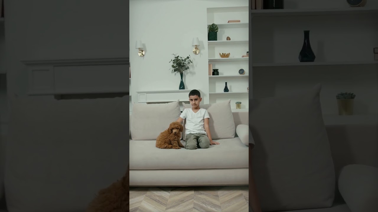 Pet Curiosities | Historical Evolution of Dog Breeds