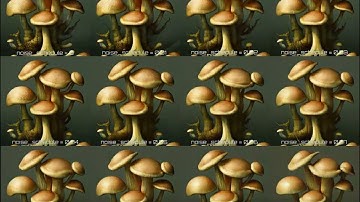 Deforum Animation - Uniform *noise_schedule* comparison