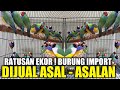 APA GA RUGI BURUNG IMPORT MEWAH DIJUAL CUMA SEGINI DIKIOS PASAR PRAMUKA