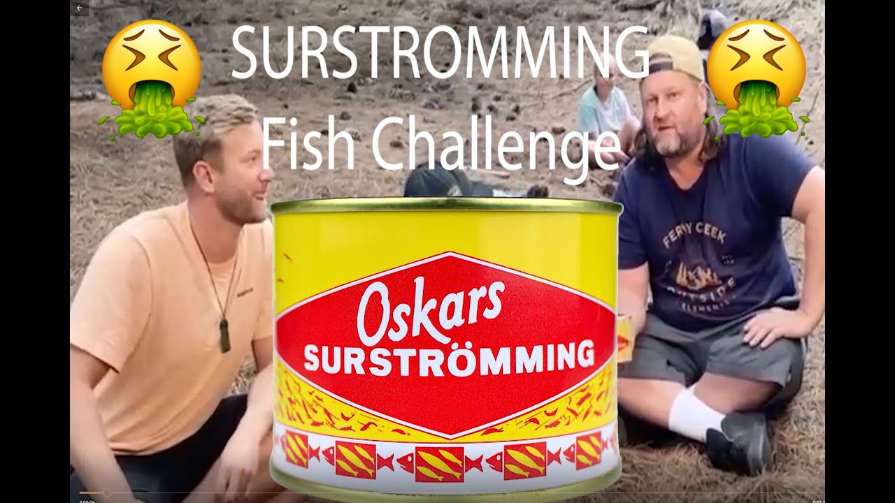 Smelly Fish Challenge Surströmming YUCK!! YouTube