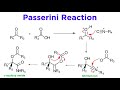 Passerini Reaction and Isonitriles Concepts