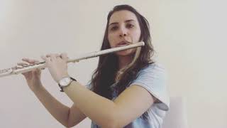 La Casa De Papel - Bella Ciao (Yan Flüt Cover)
