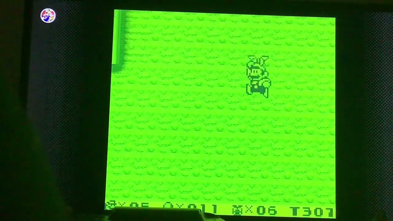 Crazy Glitch in Super Mario Land 2