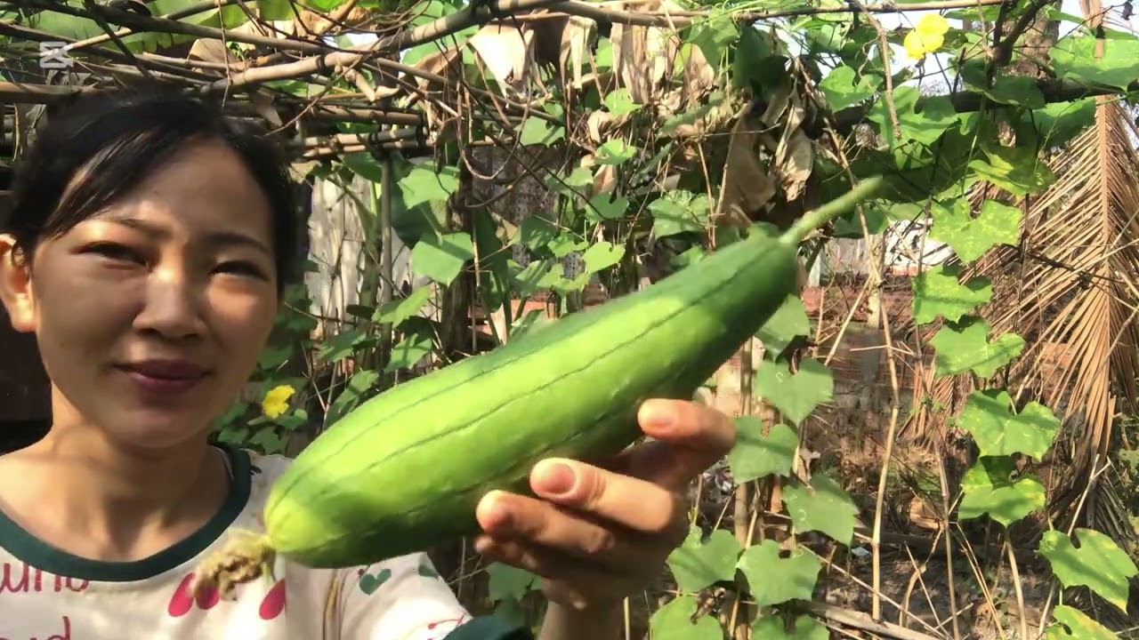 ននោងធម្មជាតិពិតៗ(our fresh veggies)@SooKreaSa 