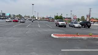 IMG 3358