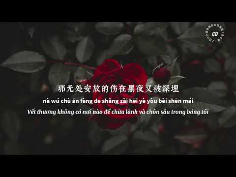 [vietsup]xin đừng đi quá nhanh/phan thành (pika pan) vương lục lưu/请你别走太快潘成(皮卡潘)/汪六六