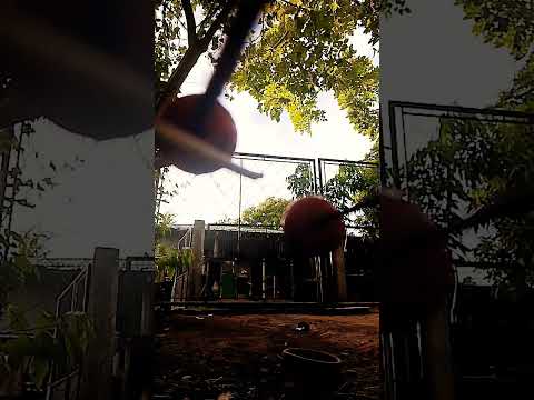 something is stealing my fruit