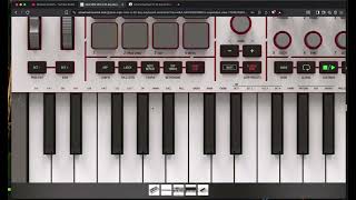 Akai Mpk Mini 4...I tried one in Guitar Center. My thoughts from owning many midi keyboards