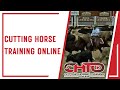 Cutting horse training online