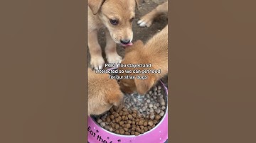 Click the link in channel description to help—every pledge, big or small, is a gift from the heart