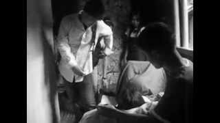Indian Camp 2010 (OLFA DAO, a short film)