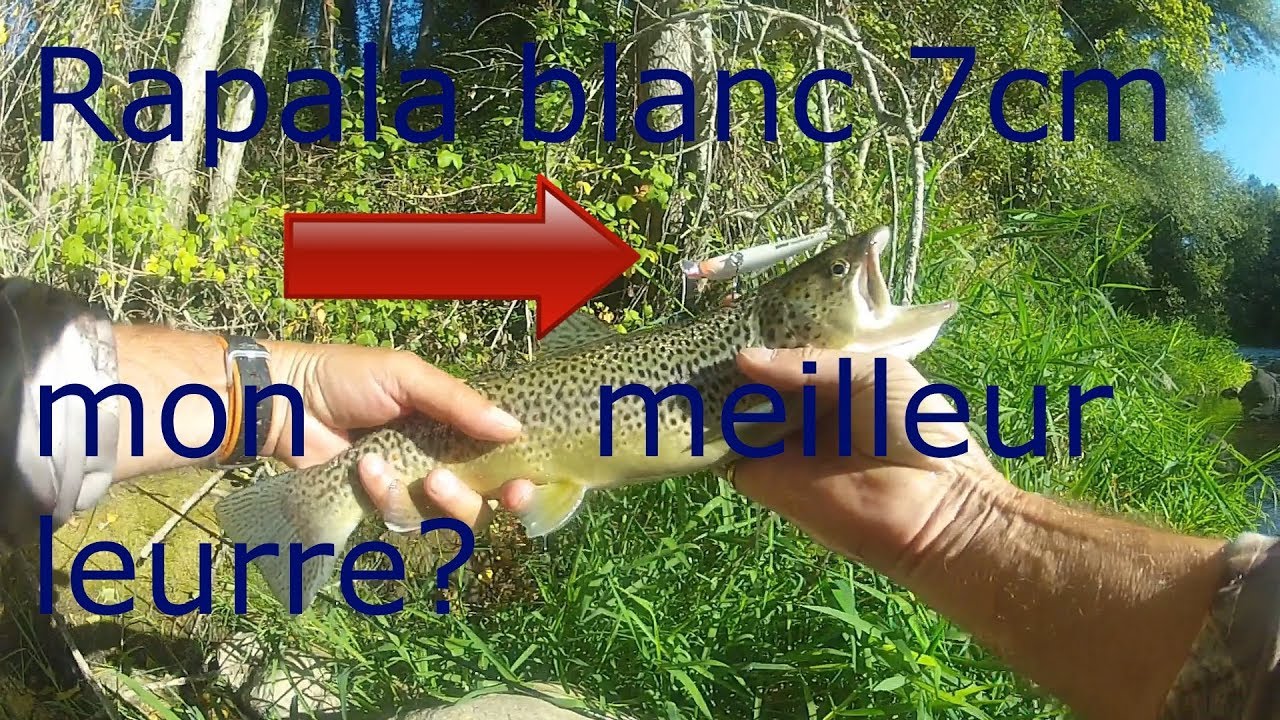 LE RAPALA BLANC UN LEURRE REDOUTABLE ! 7cm suspending