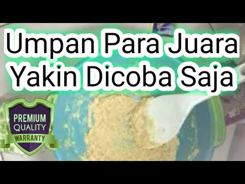 umpan-para-juara-mancing-ikan-mas