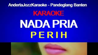 NADA PRIA - PERIH - ELVY SUKAESIH