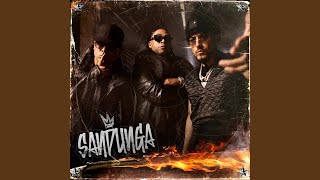 SANDUNGA - Don Omar, Wisin & Yandel
