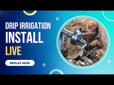 Installing Drip Irrigation In New Raised Garden Bed