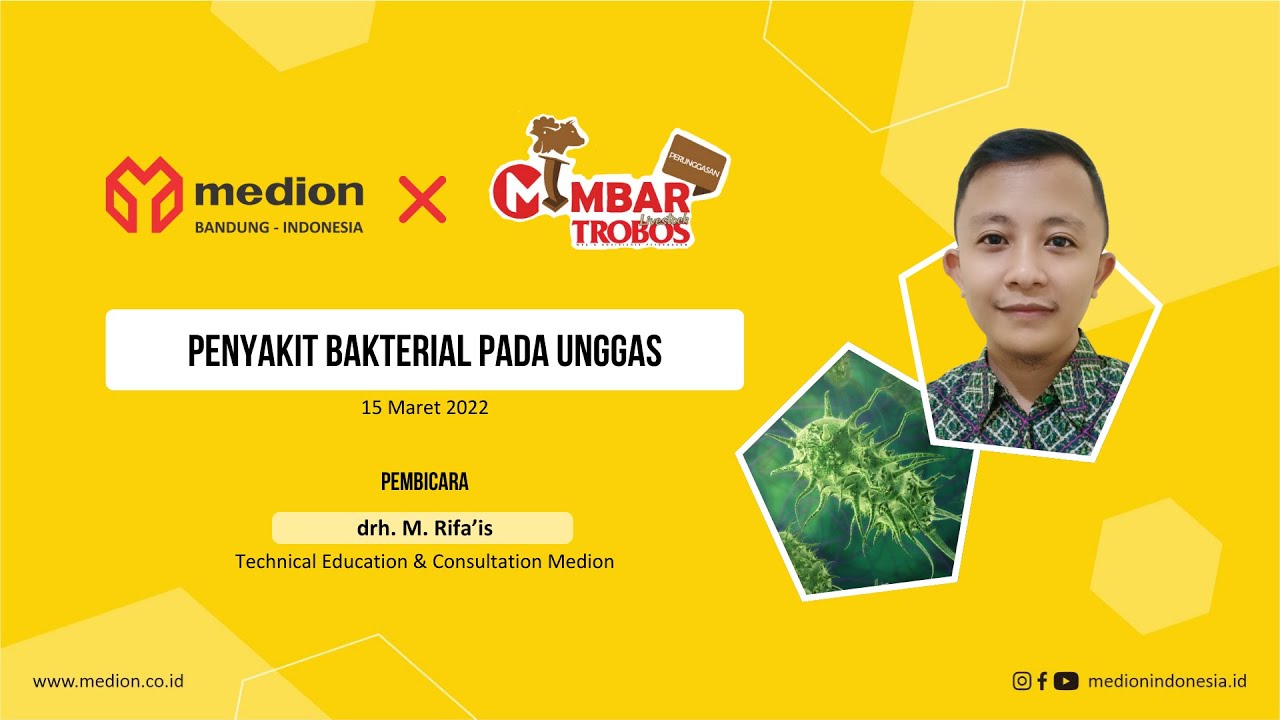 Seminar Online Kolaboratif : Penyakit Bakterial pada Unggas