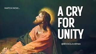 The Cry for Unity || Bible Quick Bites