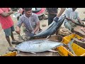 BIG TUNA FISH CUTTING SKILLS 25KG, RS4000, CC250  | FISH MARKET IN INDIA | CT360*