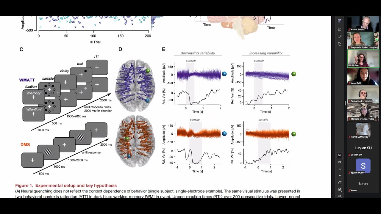Neuroccino 2nd February 2026 - Connectivty & dynamic variability