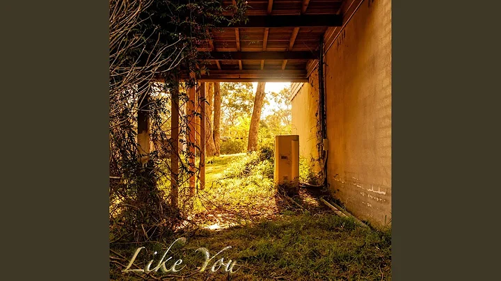 Like You (feat. Emily Searle, Ryan Clarke & Jesse ...