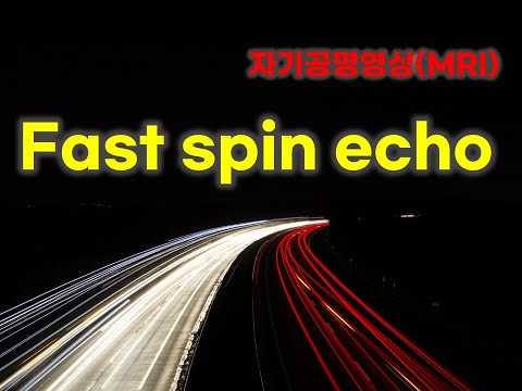 Fast spin echo sequence