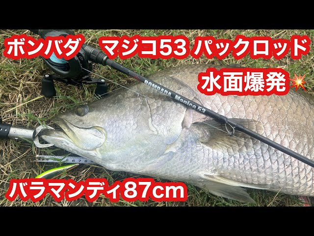 ボンバダマジコ53