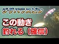 【ジグ映像】水中動画/ジギングやアジング釣りに！エギ竿で投げる？カンパチやメバルにもおすすめ！ジグパラスピン。