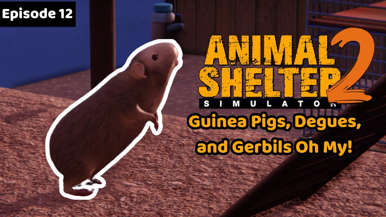 Let's Play: Animal Shelter 2 (Episode 12: More Little Furry Friends Join The Shelter!)