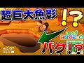【どうぶつの森】不可解なバグ!?魚の餌130個以上あれば超巨大な魚影作れるか試してみた【うさごん】