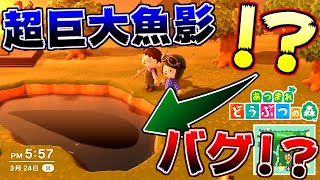 【どうぶつの森】不可解なバグ!?魚の餌130個以上あれば超巨大な魚影作れるか試してみた【うさごん】