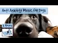 Anti Anxiety Music for Dogs - Cure Separation Anxiety with Dog Music!