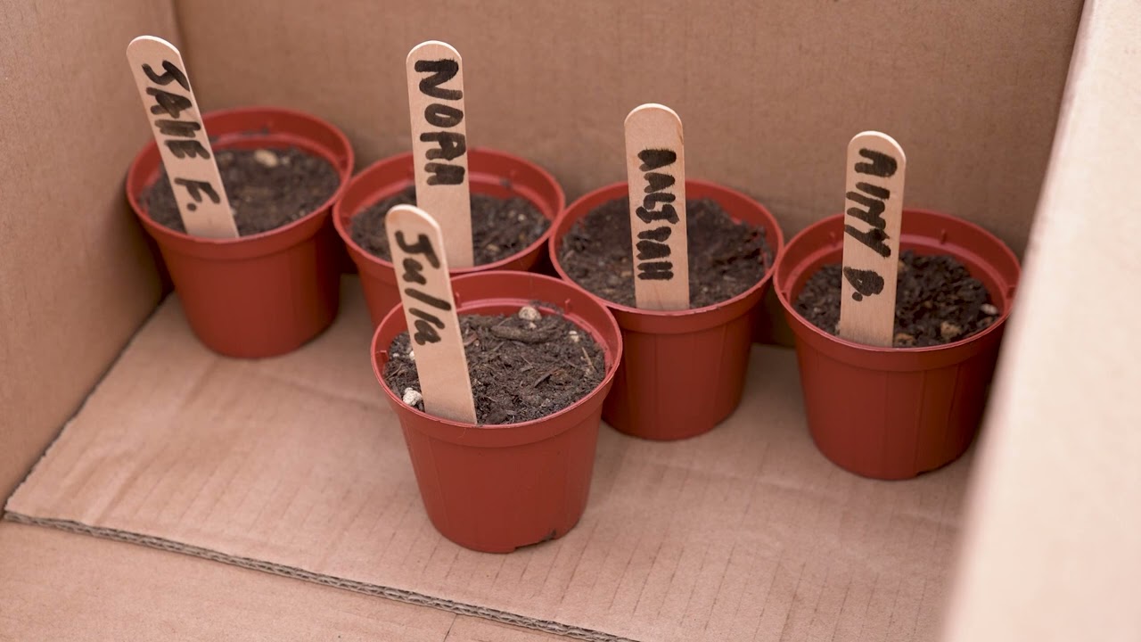 Ghar Dalam Student Activity