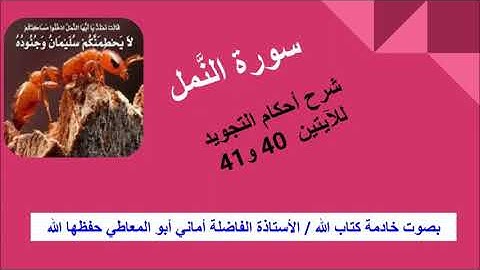 سورة النمل : شرح احكام التجويد للآيتين 40 و41