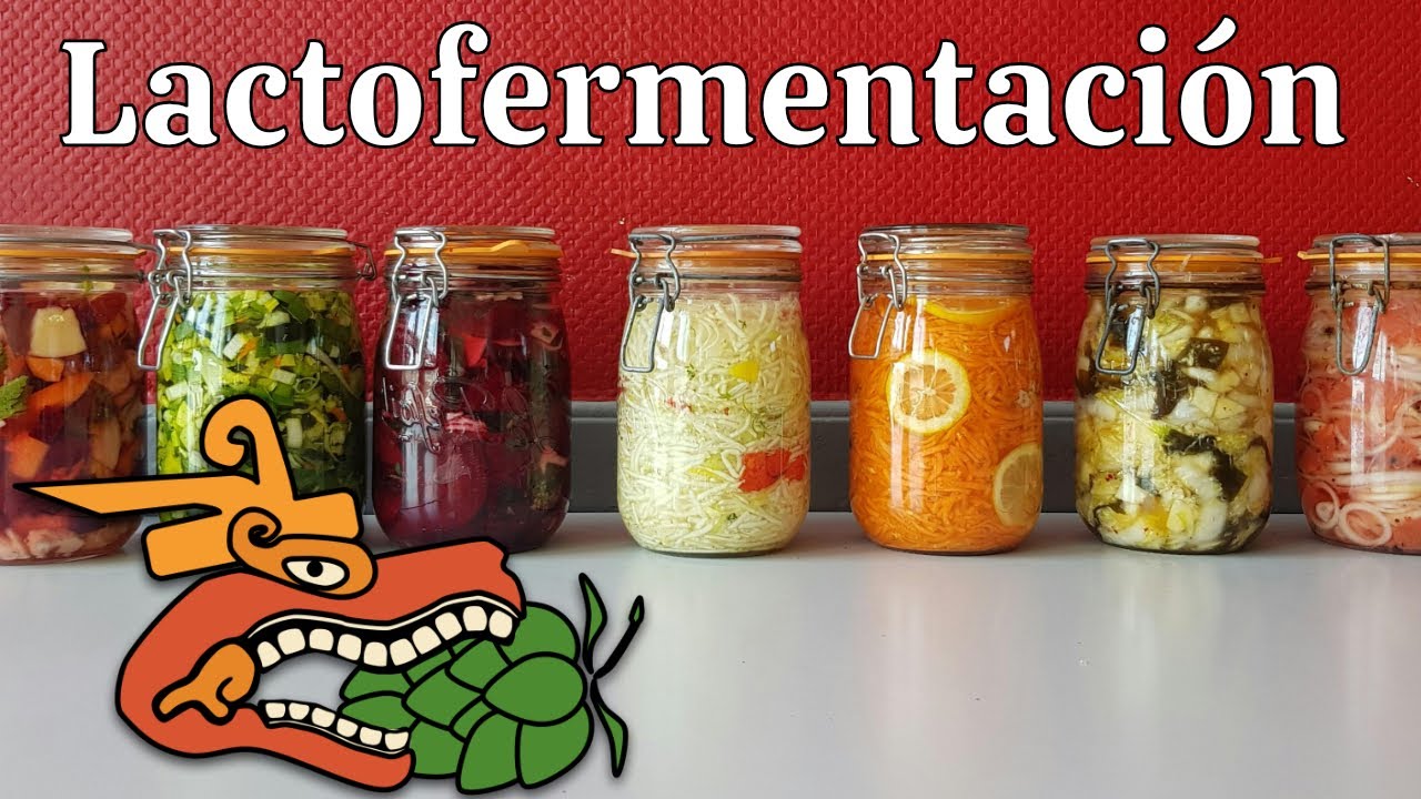 🌱 ¿Qué es la Lacto-Fermentación? 🌱