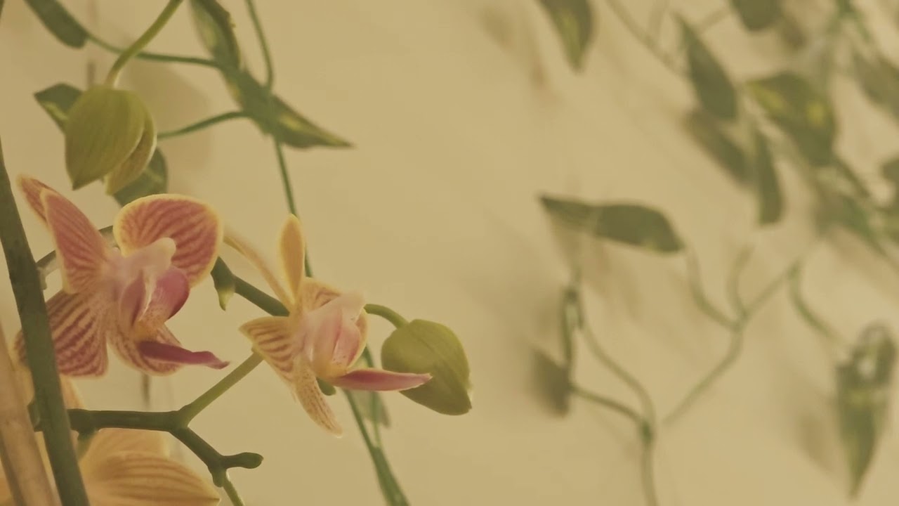 Chia sẻ