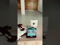 10m air pistol shooting #athletics #automobile #airgun #song #morin