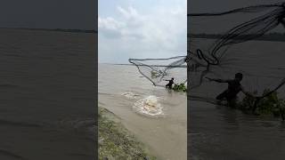 River monster fish catch by net fishing #shorts #fishingvideo #fishing #riverfishing #bigfish #funny