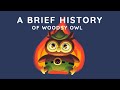 A Brief History of Woodsy Owl
