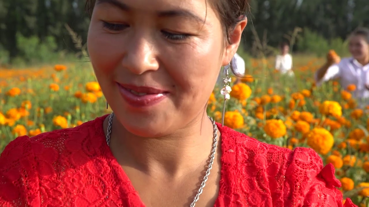 The Life & Culture of Xinjiang 