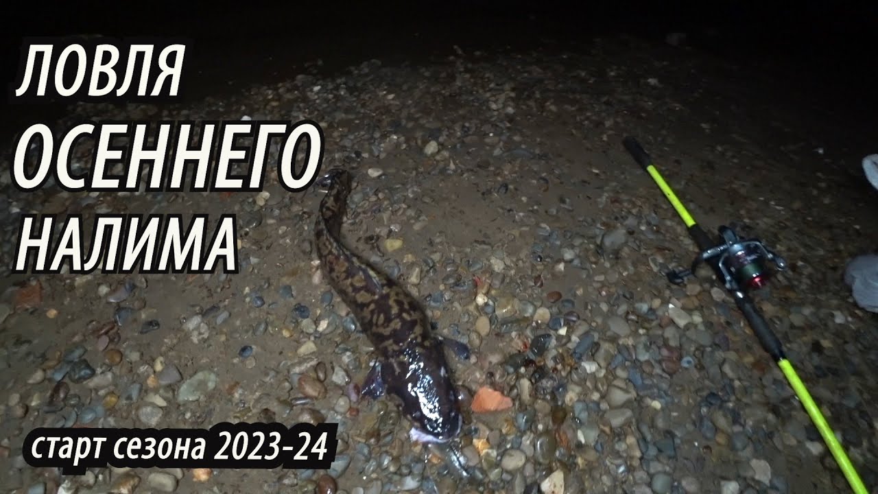 Вечерняя Рыбалка на Налима🐋Старт Сезона 2023-24! Ловля налима в октябре на донки, резинку на ерша